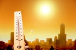 Москвичам пообещали теплое сухое лето