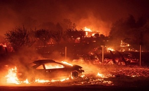 Из-за пожаров в Калифорнии уже погибли 44 человека