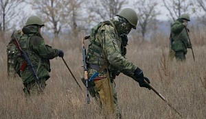 ДНР завершила разминирование территории у села Петровское