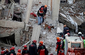 В Турции растёт количество жертв землетрясения