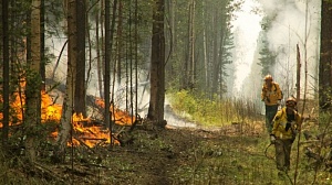 В Иркутской области введён режим ЧС из-за лесных пожаров