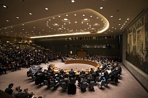 МИД РФ: США давили на Совбез ООН в голосовании по Идлибу