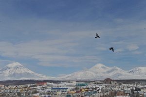 Дальневосточный рывок Дальневосточный рывок